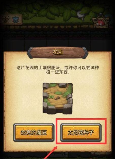 揭秘太阳花之谜:不思议迷宫中太阳花种子种在何处,如何获得太阳花?
