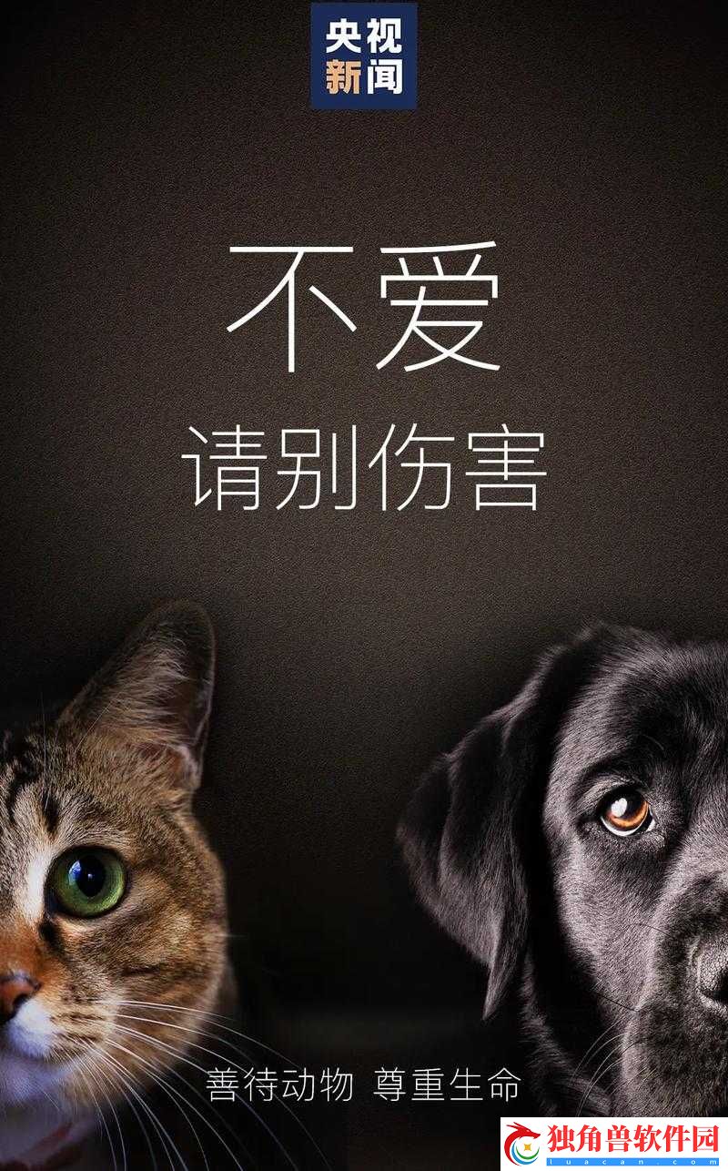 狗狗让我上瘾戒不掉：爱宠相伴-幸福满满