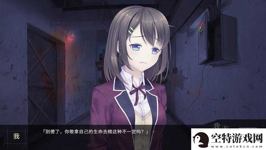 我和她的世界末日游戏常见问题全面解析与高效解决方法一览