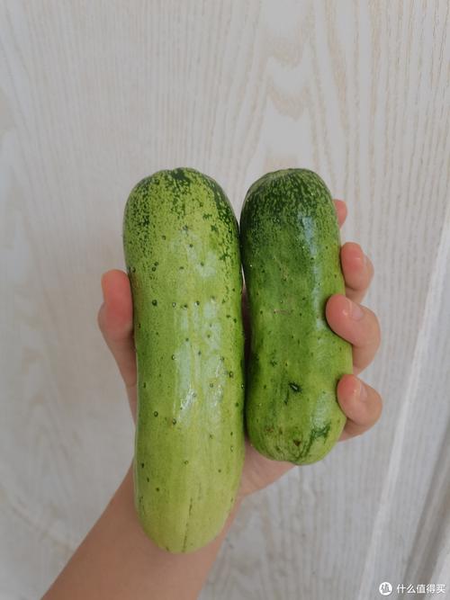 揭秘18水蜜桃和大黄瓜的独特魅力