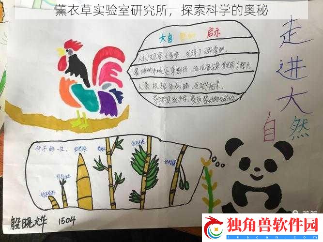 薰衣草实验室研究所