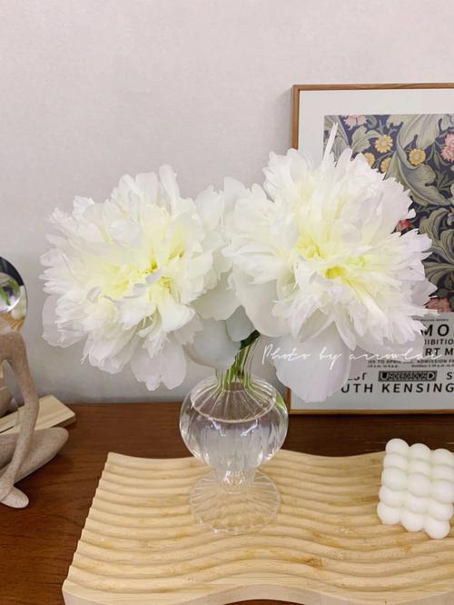 双阳插花芯，网友感叹：“这绝对是心灵的慰藉！”