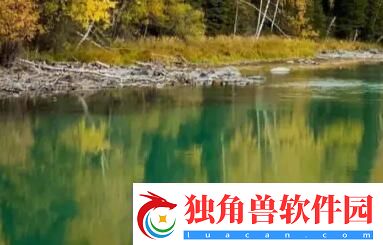 久久久国产精华特点