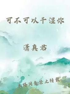 可不可以干湿你现场播放：探索音乐与情感的交汇