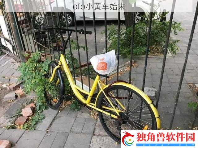 ofo小黄车始末