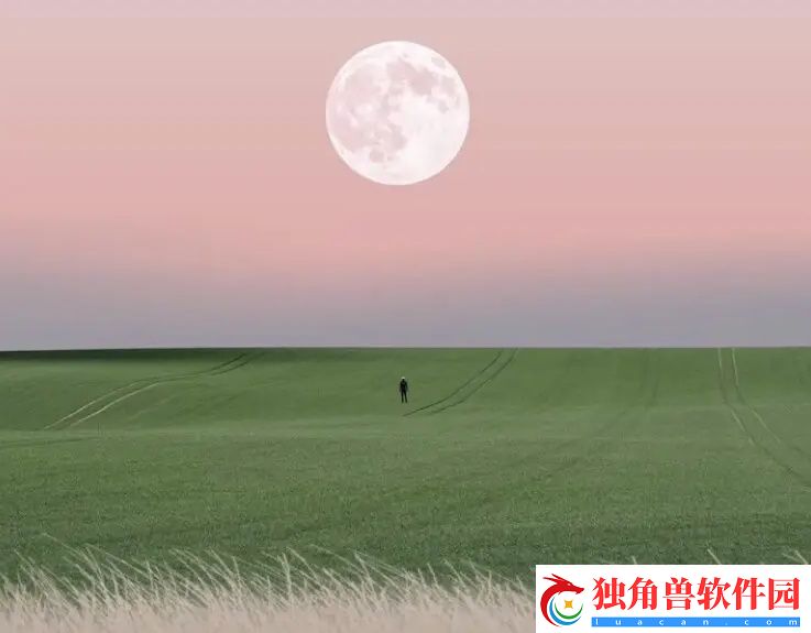 大蘑菇进入**的10个原因