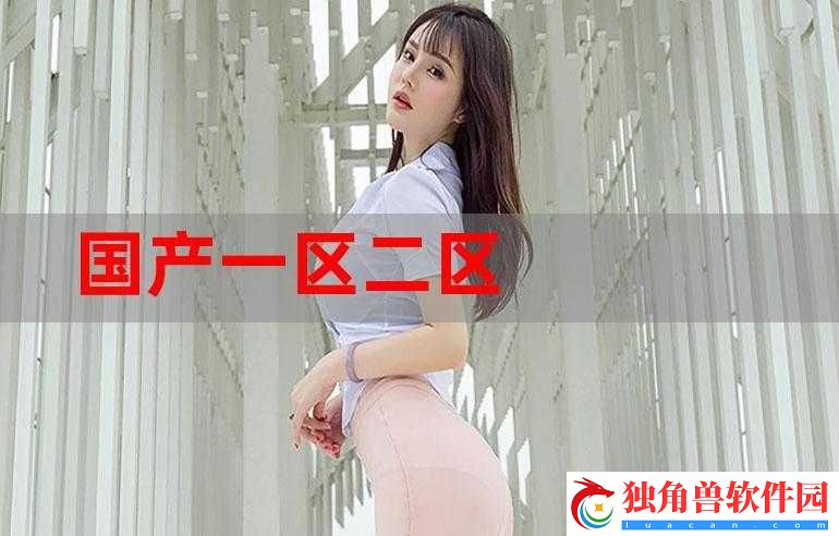 国产一区二区区别：内容差异与特点