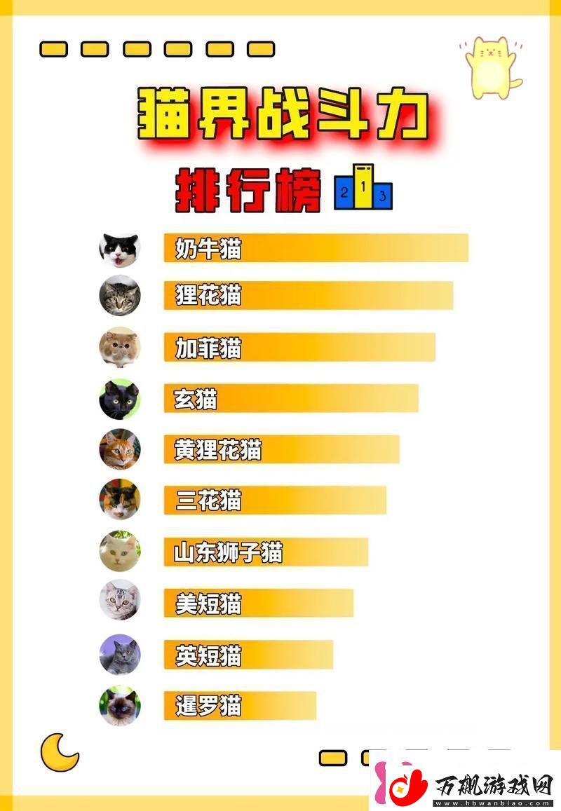 如何快速提升宠物战斗力快速提升宠物战斗力攻略