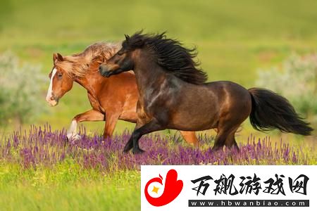 "狂飙突进-笑谈科技边际：与马儿共舞的新章"