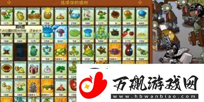 植物大战僵尸杂交版前院告急第3关攻略详解