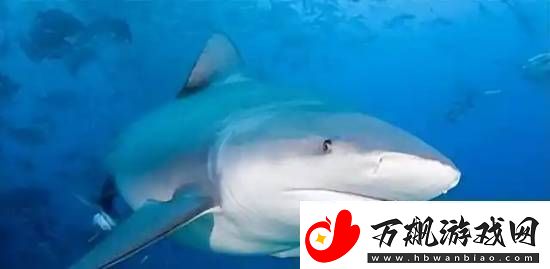 你敢信吗
