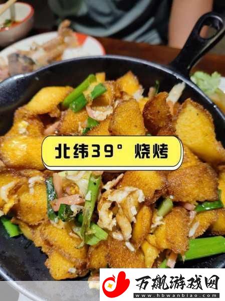 烧烤大师养成记