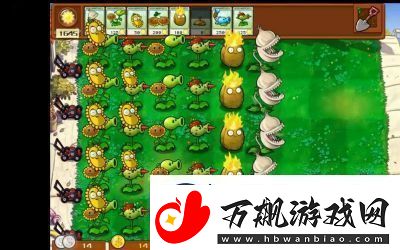 植物大战僵尸杂交版前院告急第3关攻略详解