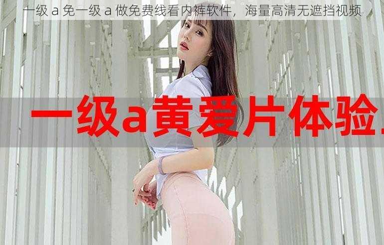 一级 a 免一级 a 做免费线看内裤软件,海量高清无遮挡视频