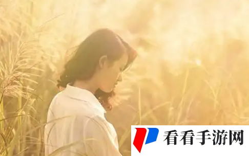 免费的API接口网站GMA，粉丝：探索无限可能的数字世界