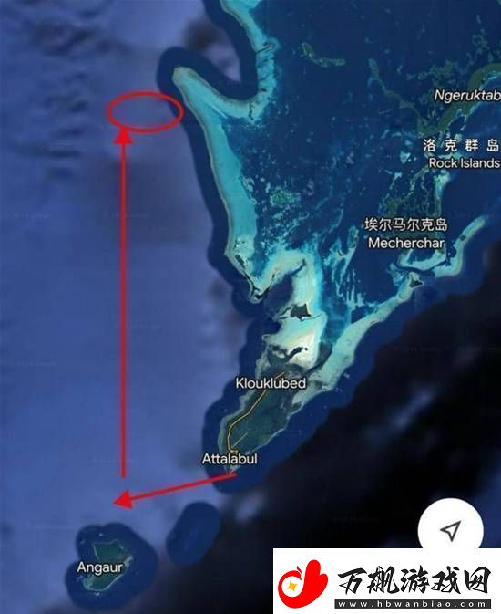 你敢信吗