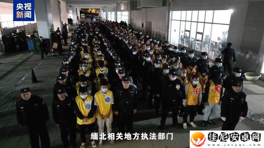 缅北诈骗免费观看