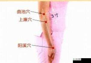 寻找白虎**(娜娜):**宝地的奥秘与应用