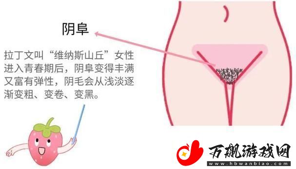 大荫蒂BBBBBB大荫蒂-网友：网红现象引发深思