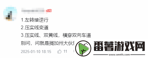 陈震测试特斯拉FSD