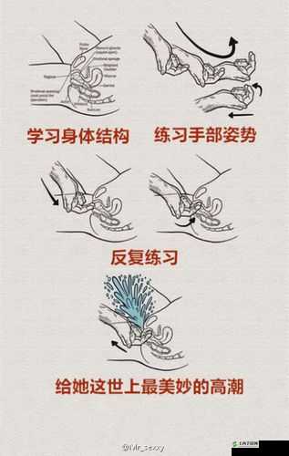 九浅一深与左三右三的奇妙探索与体验