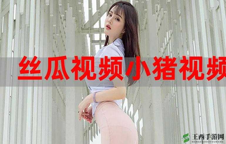91 香蕉丝瓜草莓秋葵无限次数版:解锁无尽快乐,满足你的所有需求