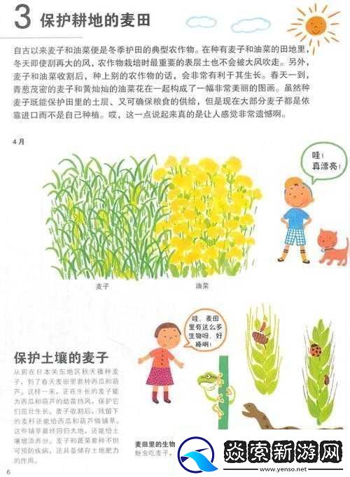 兄弟换麦子-4：以物换物的别样故事