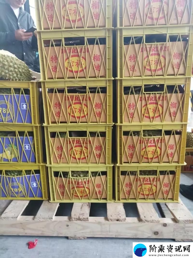 菠萝蜜国际一区-网友：时光不再-记忆永存柯林资讯