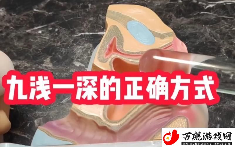 探索“九浅一深研磨法”的全新应用与实践