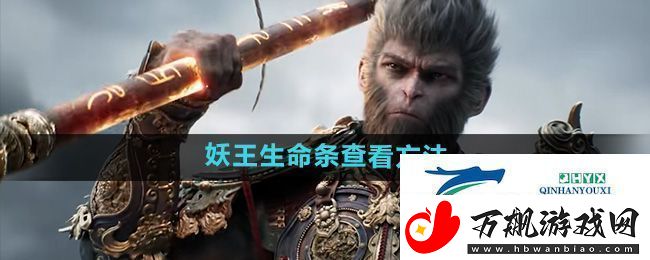 黑神话悟空妖王生命条怎么看-妖王生命条查看方法