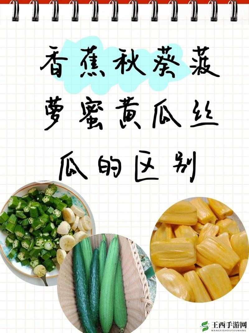 香蕉菠萝水蜜桃黄瓜丝瓜秋葵评测:多样蔬果的美味大揭秘