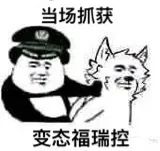 “福瑞控”吉祥物发布一年后
