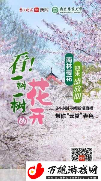 请用你的手打扰我樱花-当然可以！以下是一些基于“请用你的手打扰我樱花”的新标题建议：