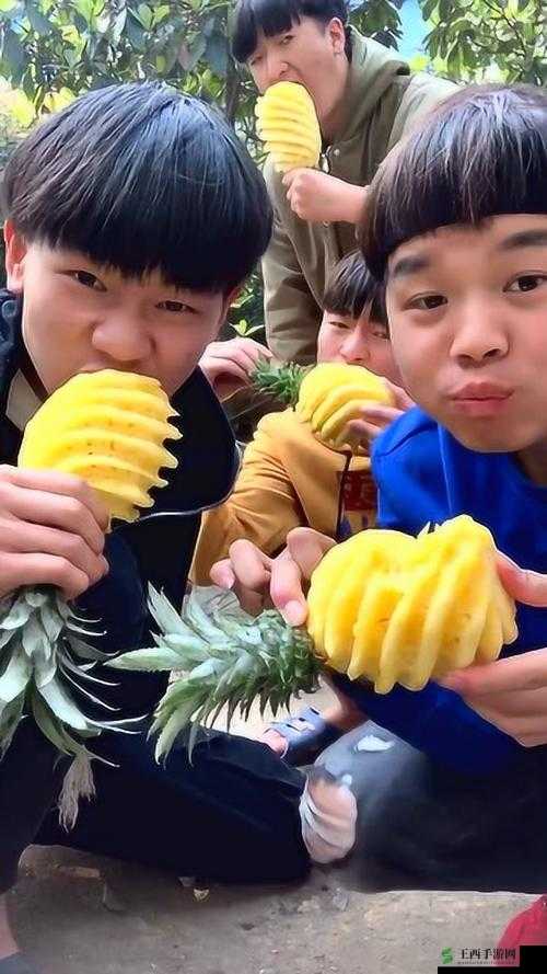 菠萝视频免费高清观看完整版在线畅享无极限