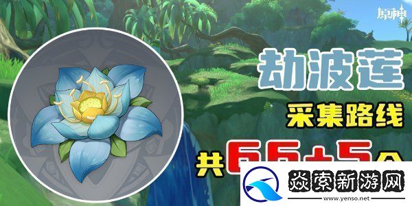 原神劫波莲采集位置分享-原神劫波莲采集分布图