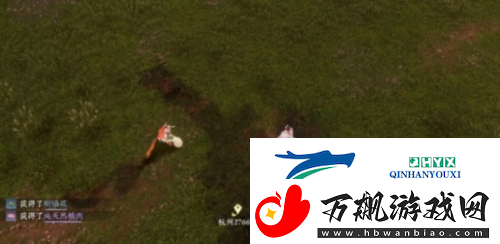 逆水寒手游仙居原动物好感度怎么提升