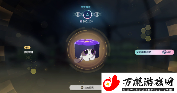 崩坏星穹铁道异宠拾遗任务完全攻略