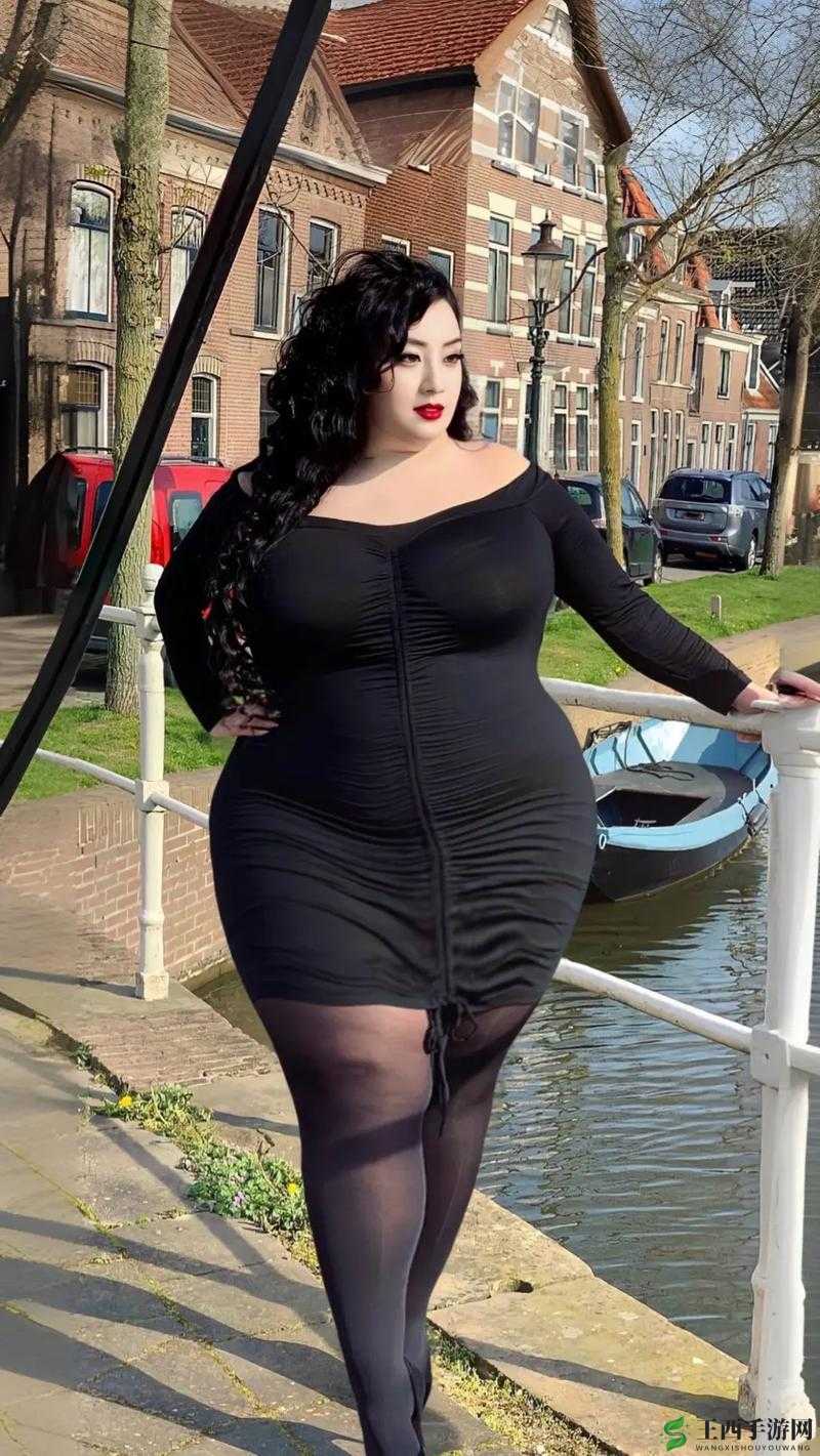 丰满熟妇大号 BBWBBWBBW：魅力熟韵的独特展现