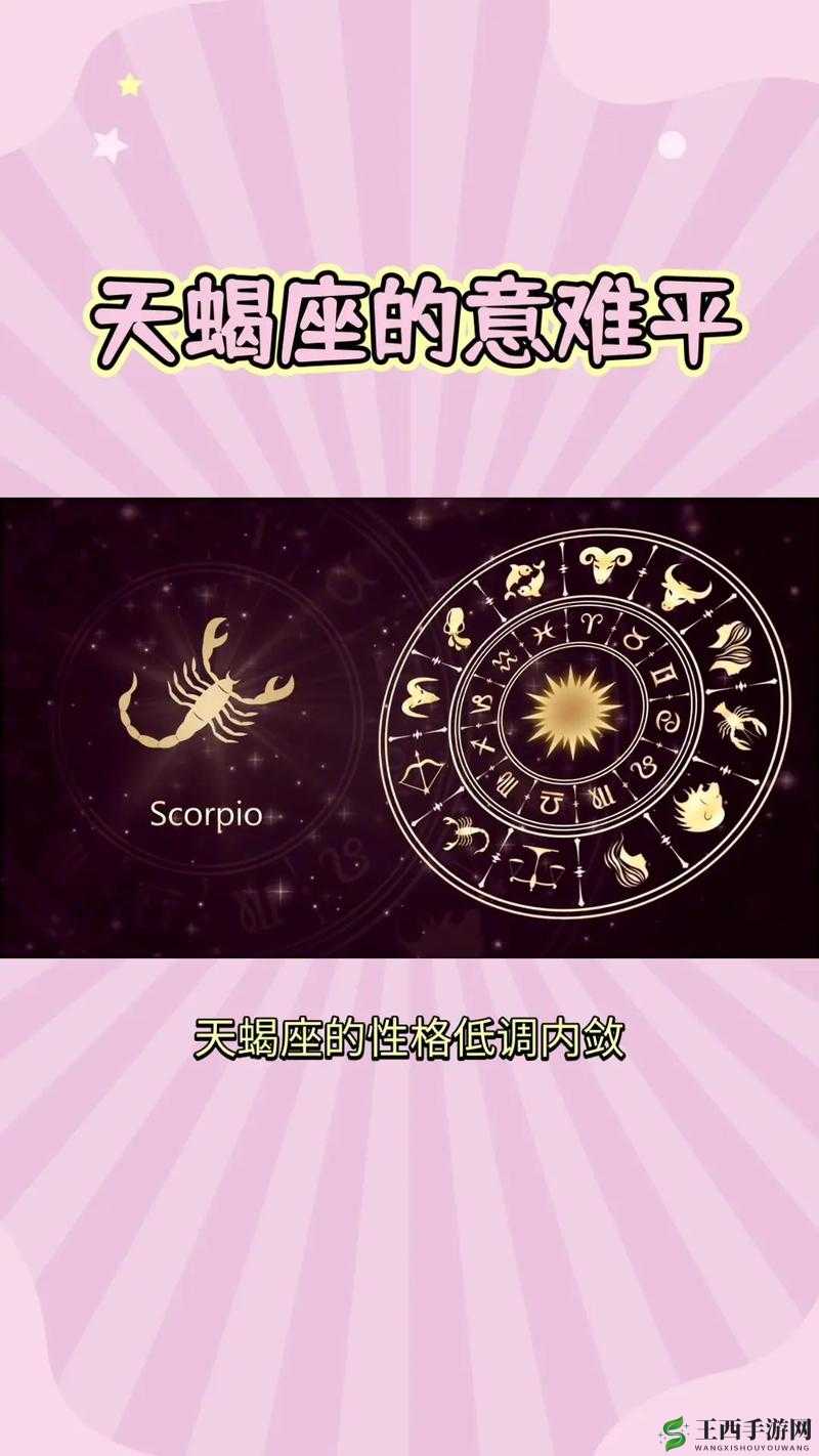 天蝎座,神秘与坚韧的化身