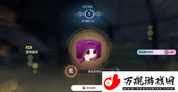 崩坏星穹铁道异宠拾遗任务完全攻略