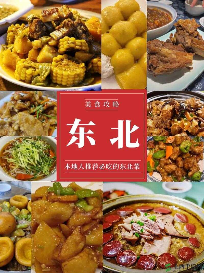 东北特色**相关内容及探讨