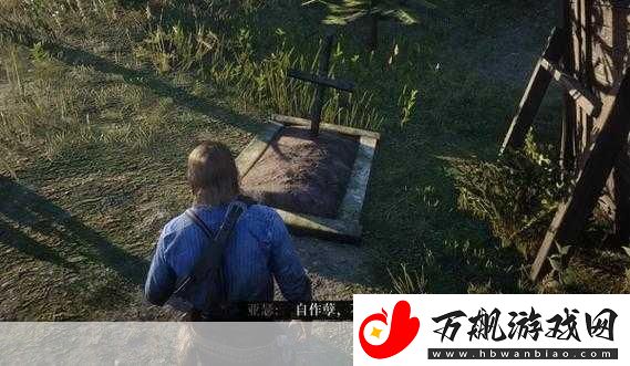 荒野大镖客暴躁老太太