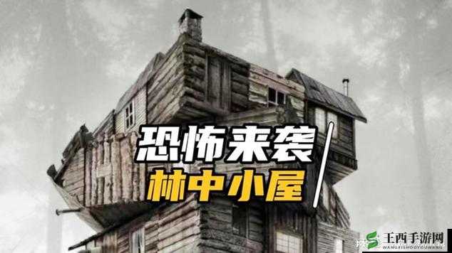 女体拷问研究所 III 在线观看:揭秘神秘研究所背后的故事