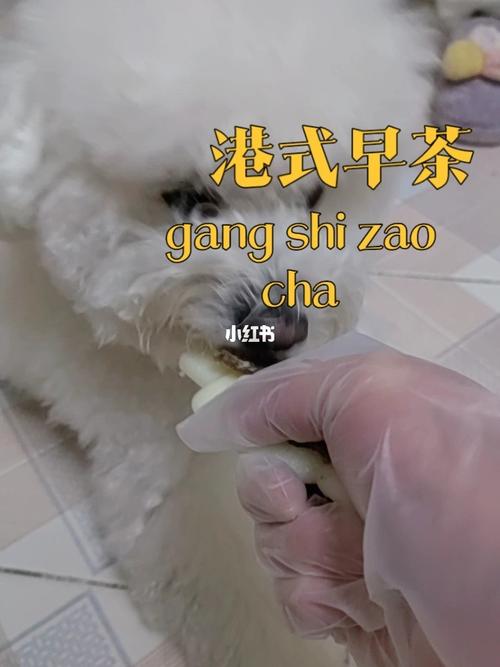 美国人与动物胶配方大全图片解析与使用指南