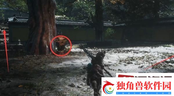 黑神话悟空黄花观观门怎么探索