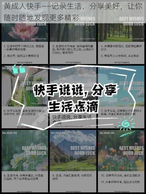 黄成人快手——记录生活,分享美好,让你随时随地发现更多精彩
