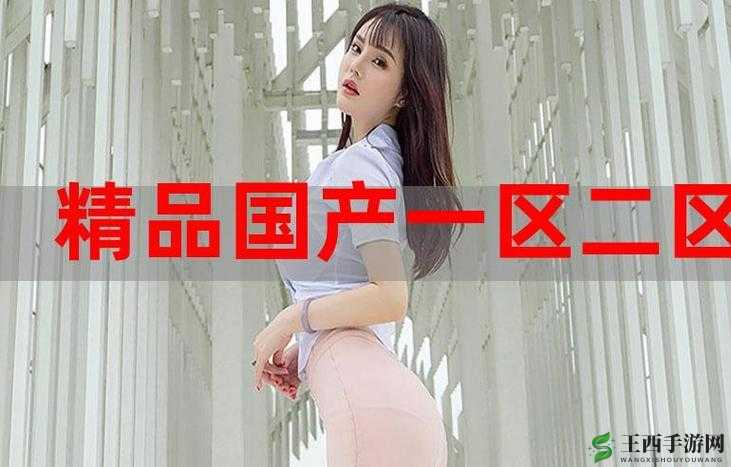 国产精品 999 :引领品质生活的卓越之选