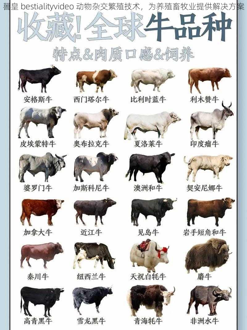 嘼皇 bestialityvideo 动物杂交繁殖技术,为养殖畜牧业提供解决方案
