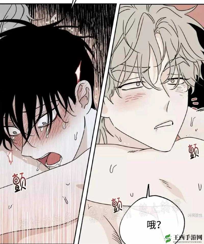 羞羞漫画首韩漫页免费现在阅读：快来一起畅享精彩内容吧