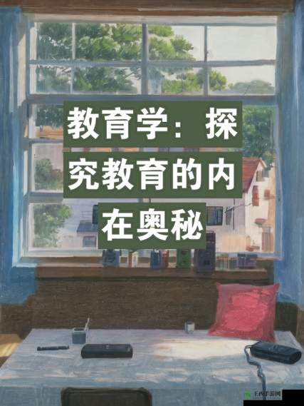 年经继拇是免费的吗:深入探究背后的真相与奥秘